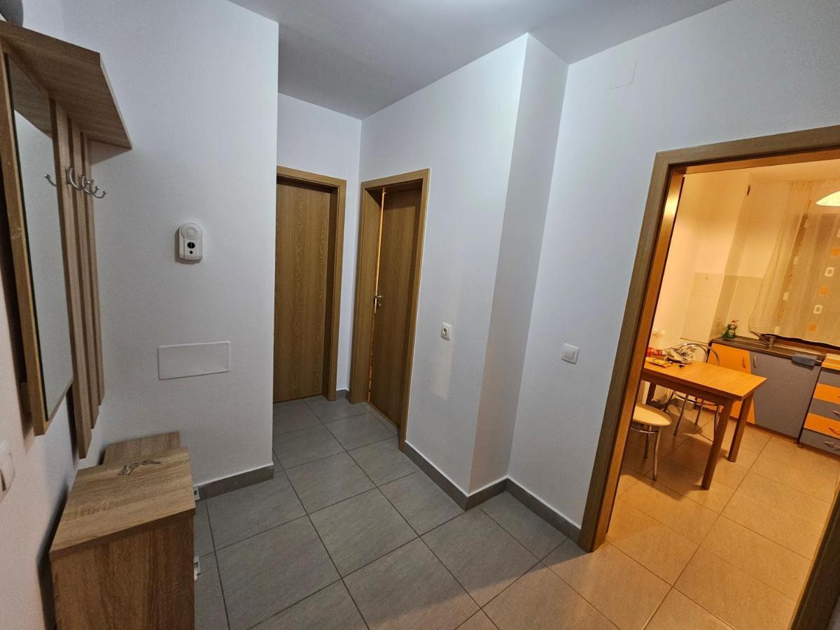 Elena'S Studio Brasov Coresi Luaran gambar